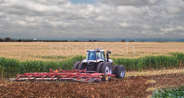 Mulching corn stubble back into the soil for next season. Stock photo © rcarner