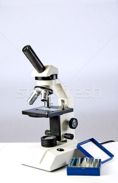 Student Microscope Stock photo © rcarner