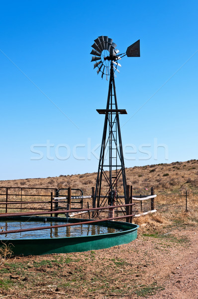 Windmill For Livestock Water Stock photo © rcarner