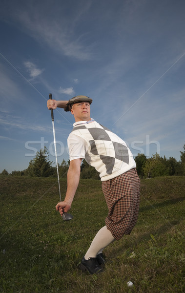 Funny patrząc golfa huśtawka trawy Zdjęcia stock © Reaktori
