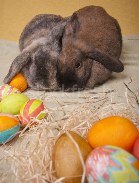 復活節 二 手 繪 復活節彩蛋 雞蛋 商業照片 © Reaktori