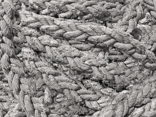 rope Stock photo © RedDaxLuma