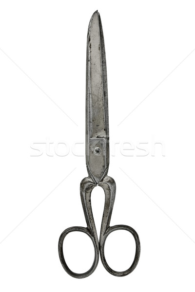 vintage household scissors Stock photo © RedDaxLuma