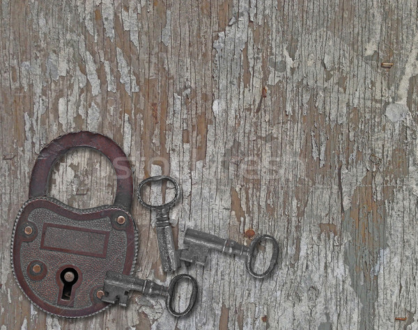 vintage padlock on a old wooden panel Stock photo © RedDaxLuma