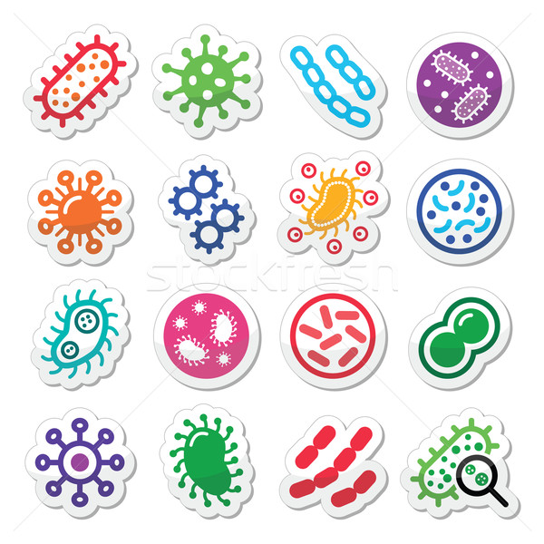 Bakteriler virüs vektör farklı Stok fotoğraf © RedKoala