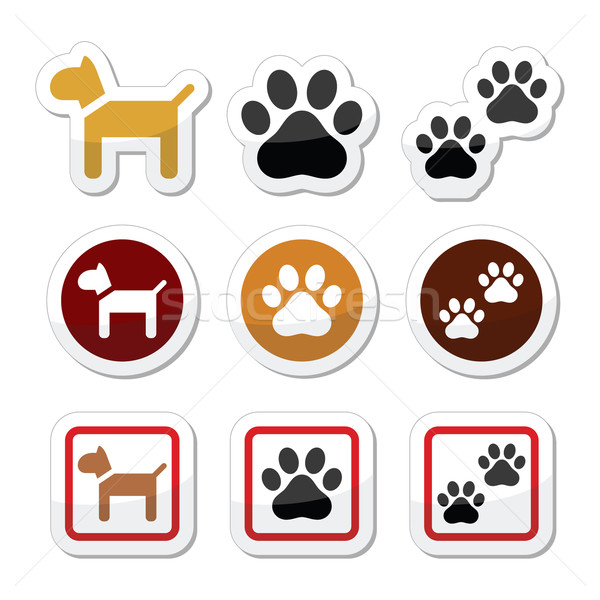 Dog, paw prints vector icons set Stock photo © RedKoala