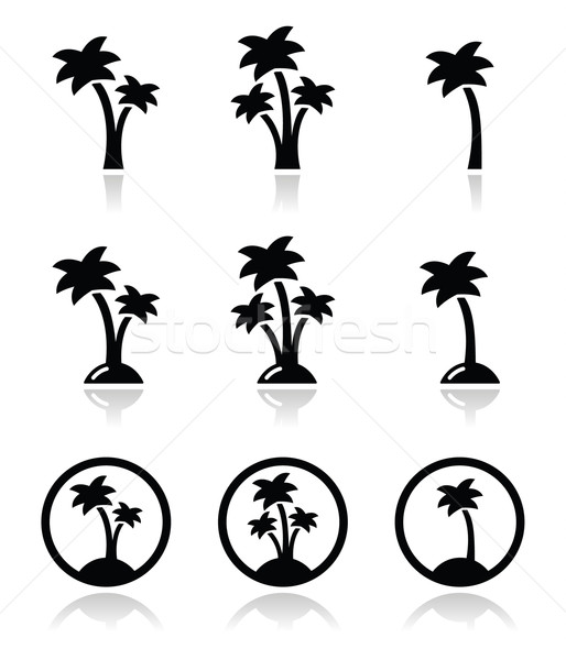 [[stock_photo]]: Palmiers · exotique · vacances · plage · vecteur