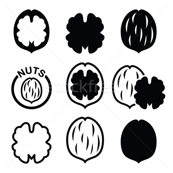 Walnut, nutshell vector icons set  Stock photo © RedKoala