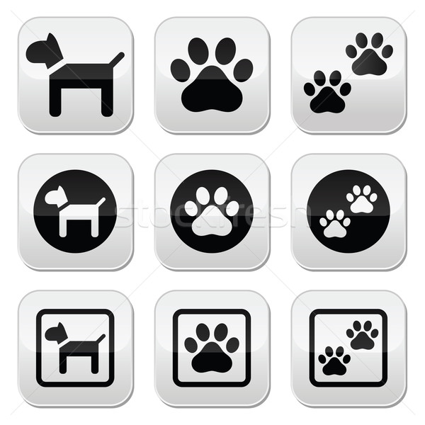 Dog, paw prints vector buttons set Stock photo © RedKoala