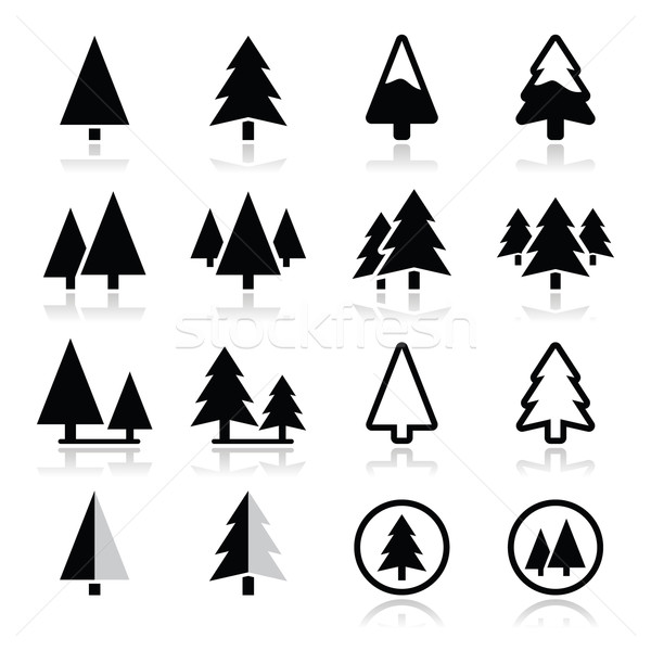 Stock photo: Pine tree vector icons set 