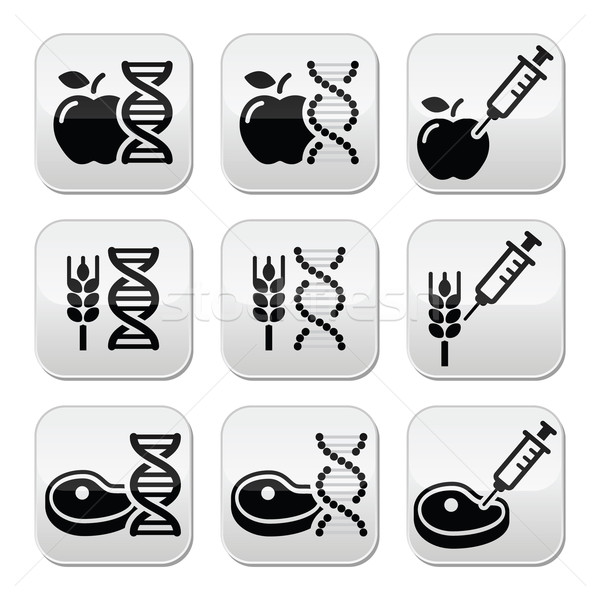 Food DNA, genetically modyfied food GMO icons set Stock photo © RedKoala