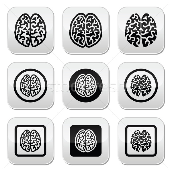 Human brain icons set - intelligence, creativity concept Stock photo © RedKoala