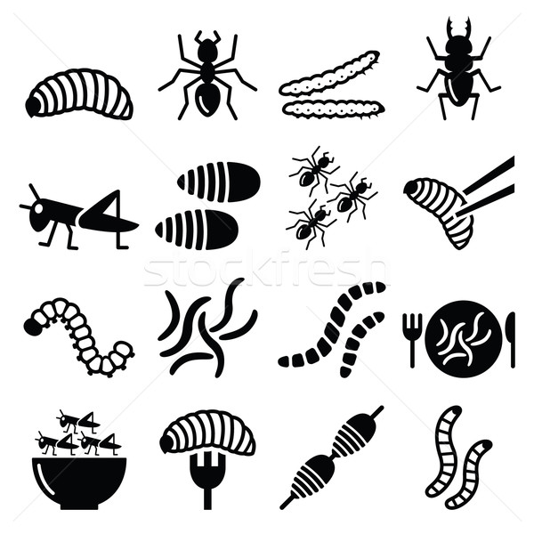 Ehető rovarok ikonok alternatív forrás fehérje Stock fotó © RedKoala
