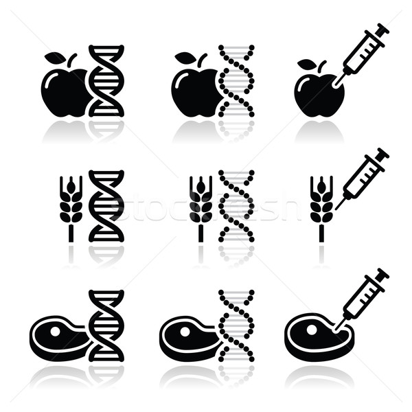 Food DNA, genetically modyfied food GMO icons set Stock photo © RedKoala
