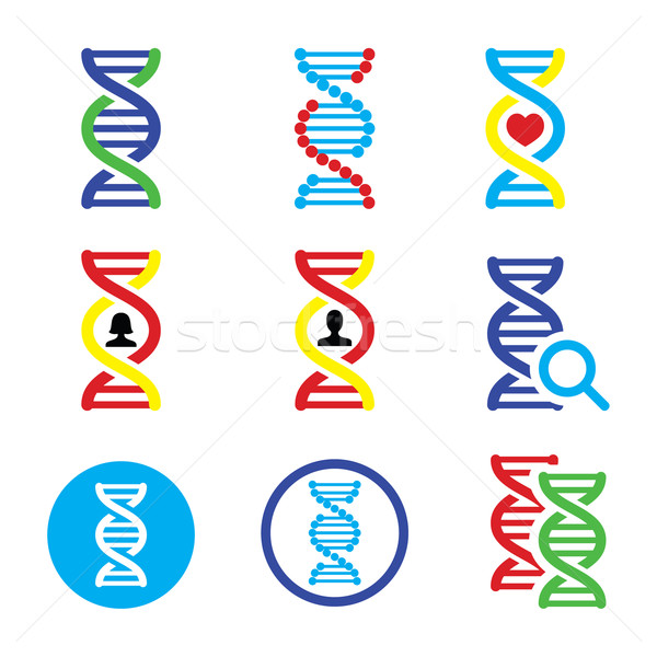 DNA, genetics vector icons set Stock photo © RedKoala