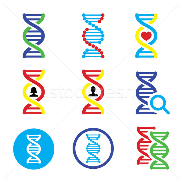 Dna Genetik Vektor isoliert weiß Stock foto © RedKoala