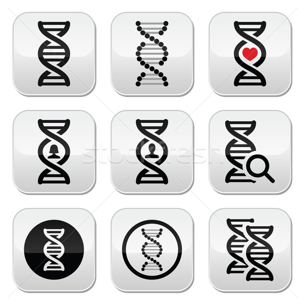 DNA, genetics vector buttons set Stock photo © RedKoala