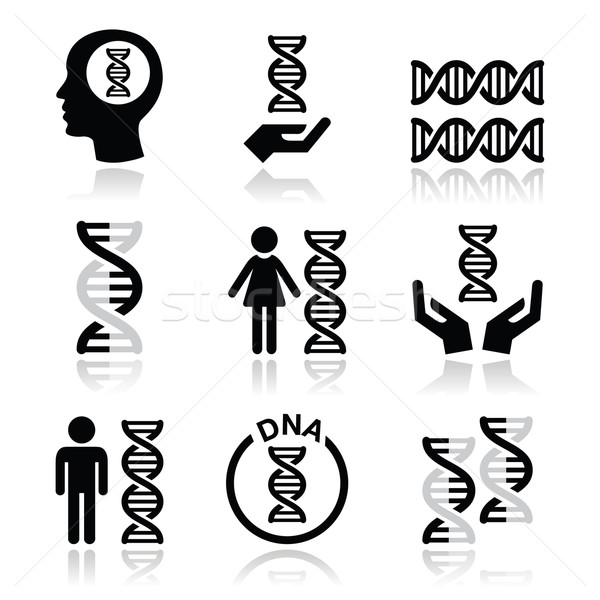Human DNA, genetics vector icons set Stock photo © RedKoala