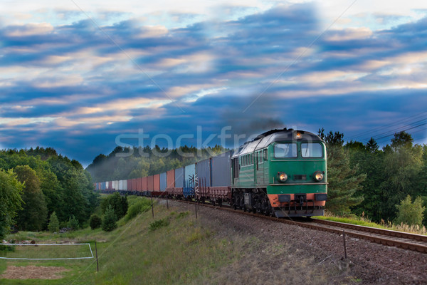 Freight diesel train Stock photo © remik44992