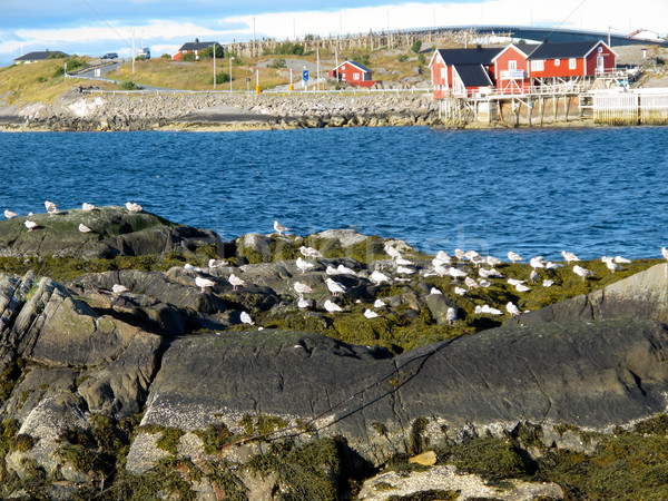 Stock photo: Norway landscape