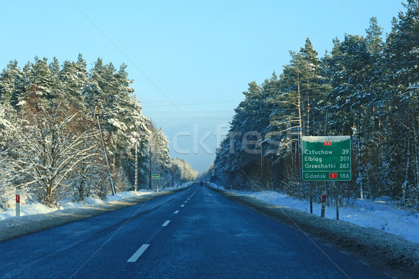 Road in winter forest Stock photo © remik44992