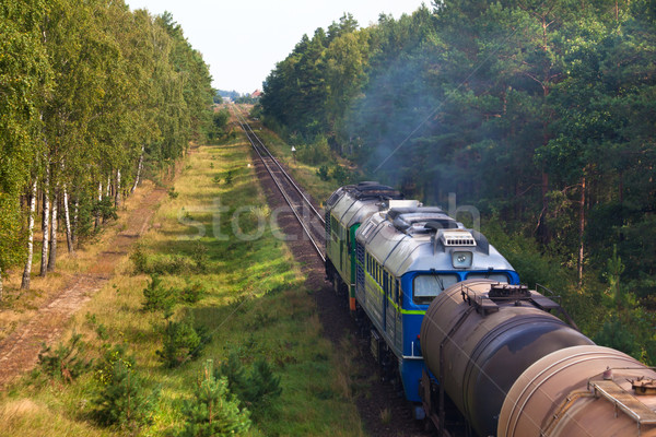 Freight diesel train Stock photo © remik44992