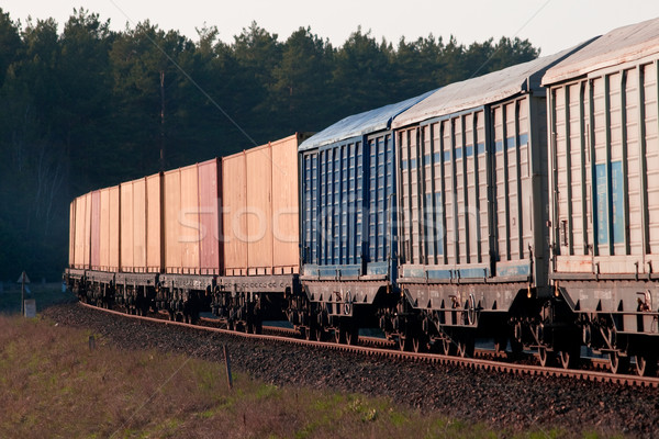 Diesel tren natură vară recipient mediu Imagine de stoc © remik44992