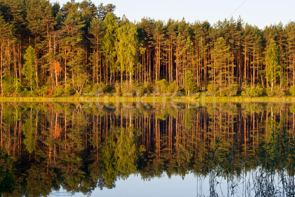 Foto stock: Paisagem · lago · verão · floresta · espelho · reflexão