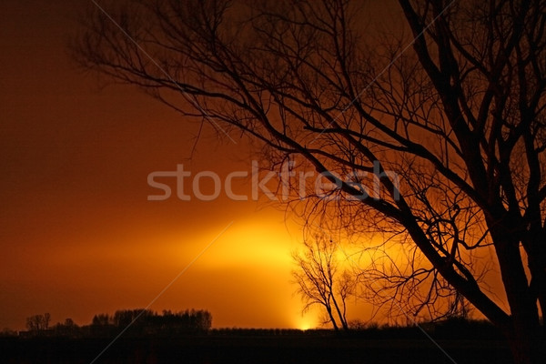 Phänomen Himmel Szene einsamen Bäume Stock foto © remik44992