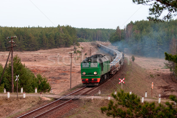 Dízel vonat kettő út nyár ipar Stock fotó © remik44992