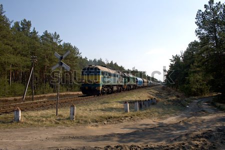 Freight diesel train Stock photo © remik44992