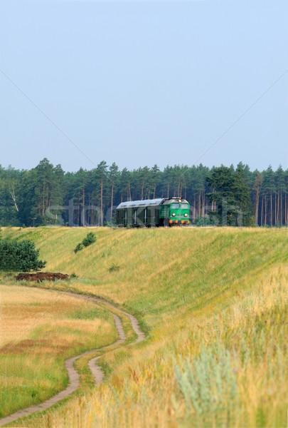 Passenger train Stock photo © remik44992