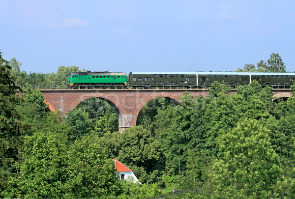 Treno grande pietra ponte estate verde Foto d'archivio © remik44992