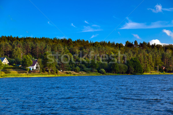 Foto stock: Paisagem · lago · verão · floresta · natureza · verde