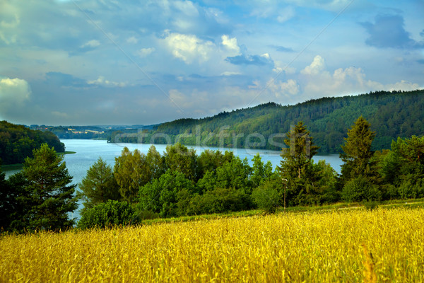 Hilly landscape with lake Stock photo © remik44992