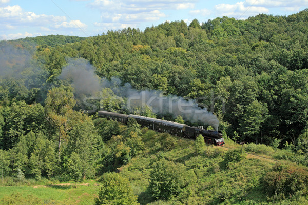 Landscape with a steam train Stock photo © remik44992