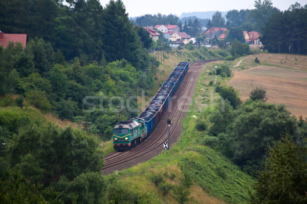 Freight diesel train Stock photo © remik44992