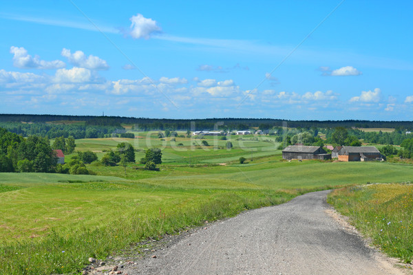 Stock photo: Polish Summer Landscape