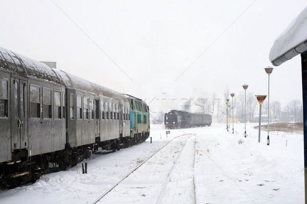 Trains at the station Stock photo © remik44992