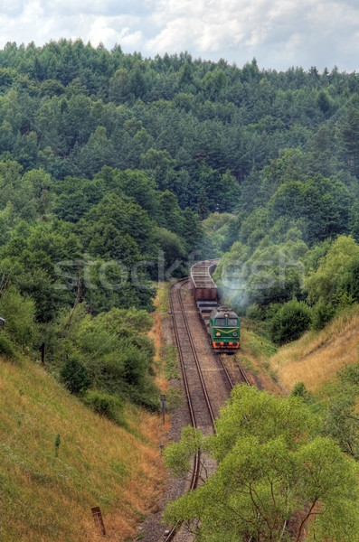 ストックフォト: ディーゼル · 列車 · 機関車 · 春 · 森林 · 風景