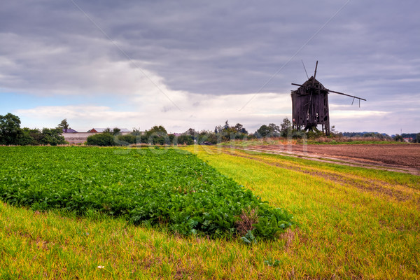 Old windmill Stock photo © remik44992