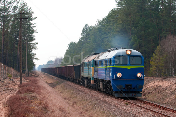 Diesel tren doua pădure vară mediu Imagine de stoc © remik44992