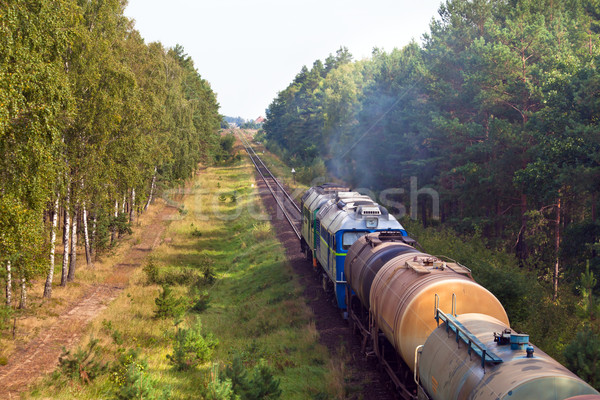 Freight diesel train Stock photo © remik44992