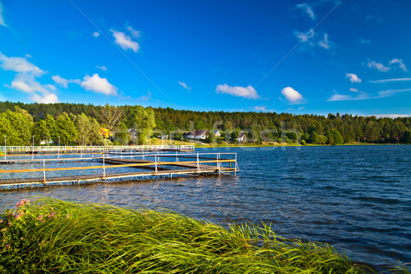 Paisaje lago verano forestales naturaleza verde Foto stock © remik44992