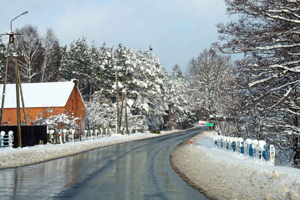 Road in the village Stock photo © remik44992