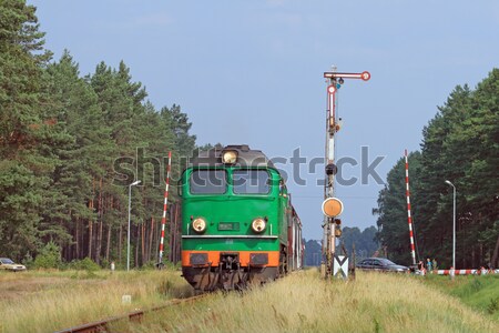 Passenger trains crossing Stock photo © remik44992