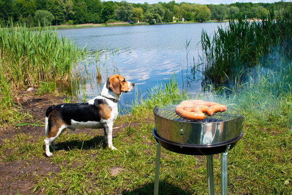 Grillowanie lata weekend świeże kiełbasa grill Zdjęcia stock © remik44992