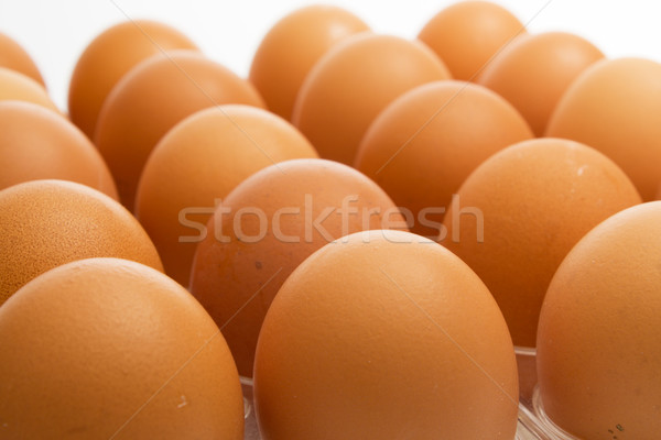 雞 雞蛋 棕色 顏色 透明 塑料 商業照片 © restyler