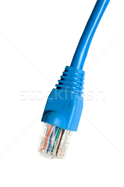 Azul cable ordenador Ethernet aislado blanco Foto stock © restyler