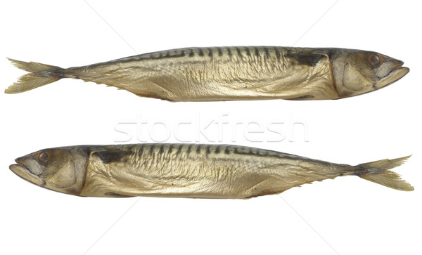 Deux maquereau fumé isolé blanche poissons [[stock_photo]] © restyler